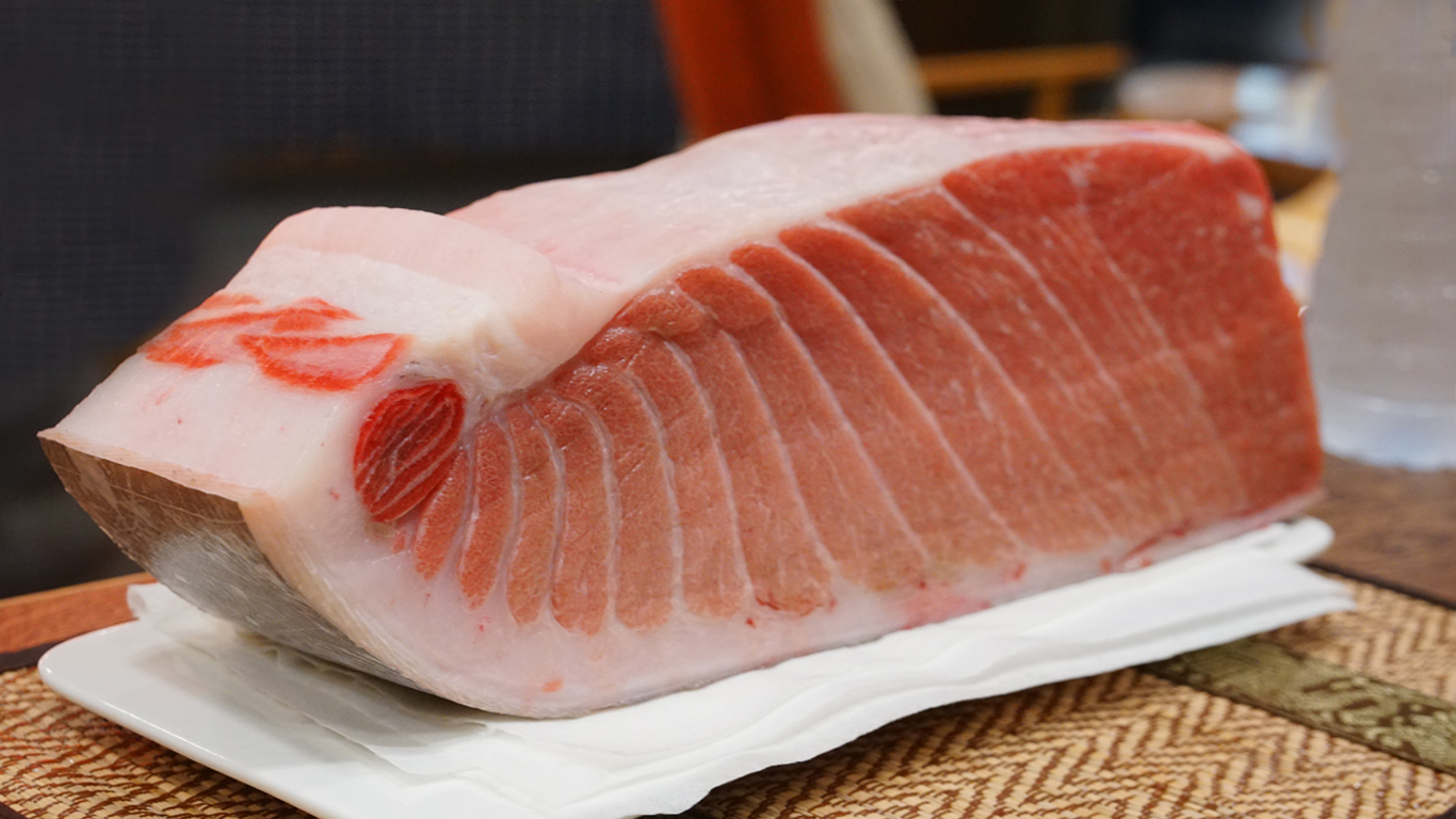 Bluefin Tuna Toro Super Frozen Hon Maguro Kuro Maguro 黒鮪 Exporter Fish International Sourcing House