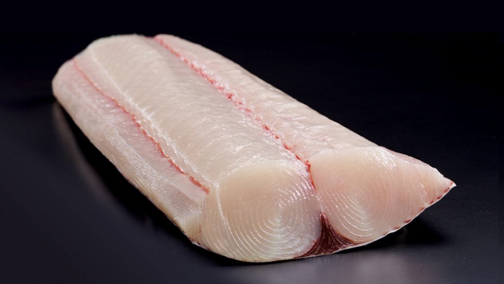 kingfish fillet on black background