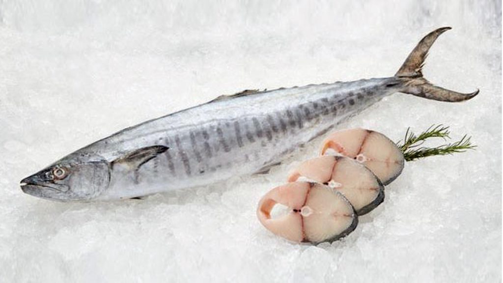 kingfish whole round and kingfish steaks on ice