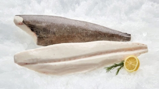 Oilfish Fillet displayed on ice with lemon and herbs