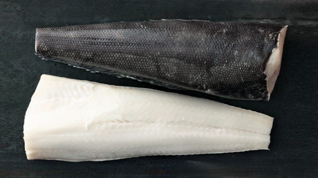 Patagonian Toothfish Chilean Seabass Fillet