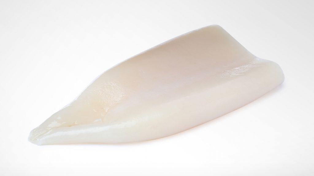 giant squid tube on white background