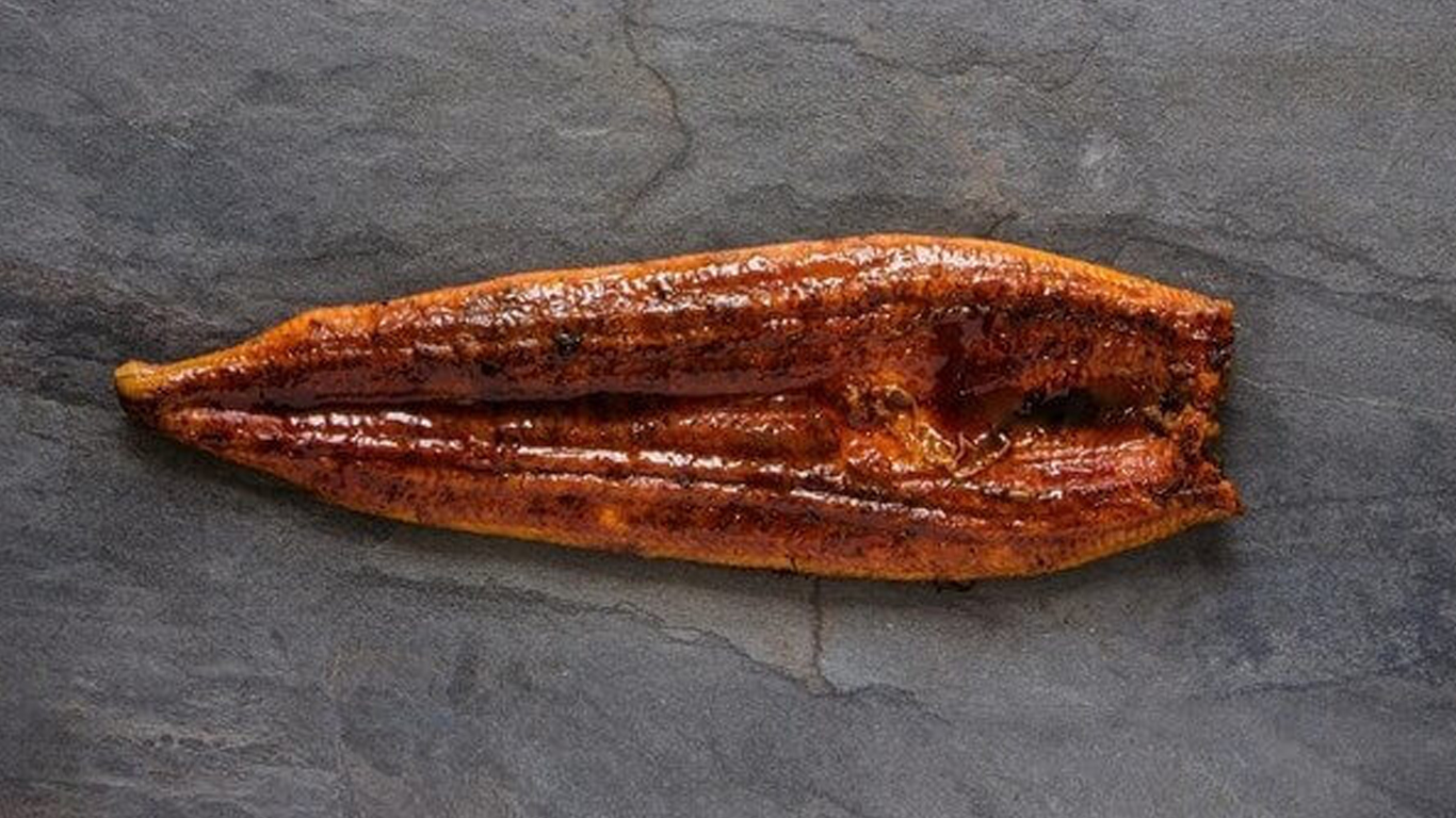unagi kabayaki on stone background