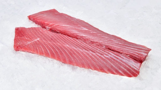 Yellowfin Tuna Belly ToroThunnus albacares displayed on ice