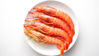 Argentine red shrimp on white background