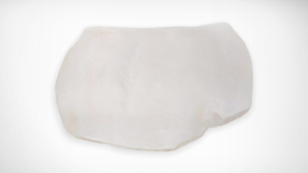 giant squid fillet on white background