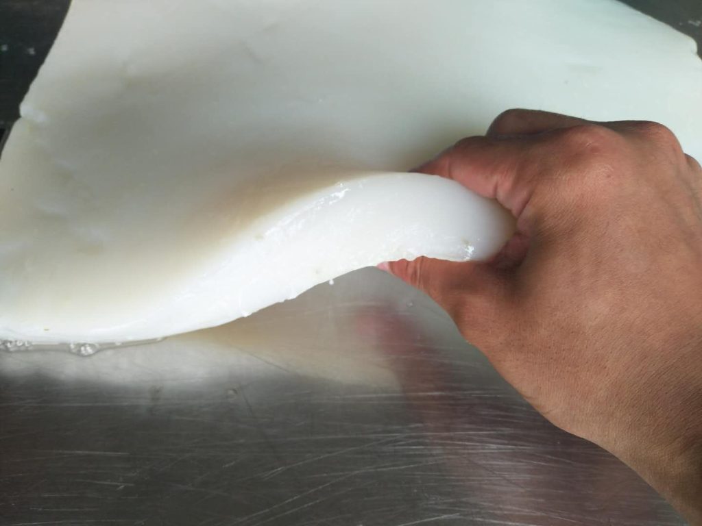 hand holding giant squid fillet