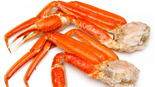 Snow crab cluster isolated on white studio background